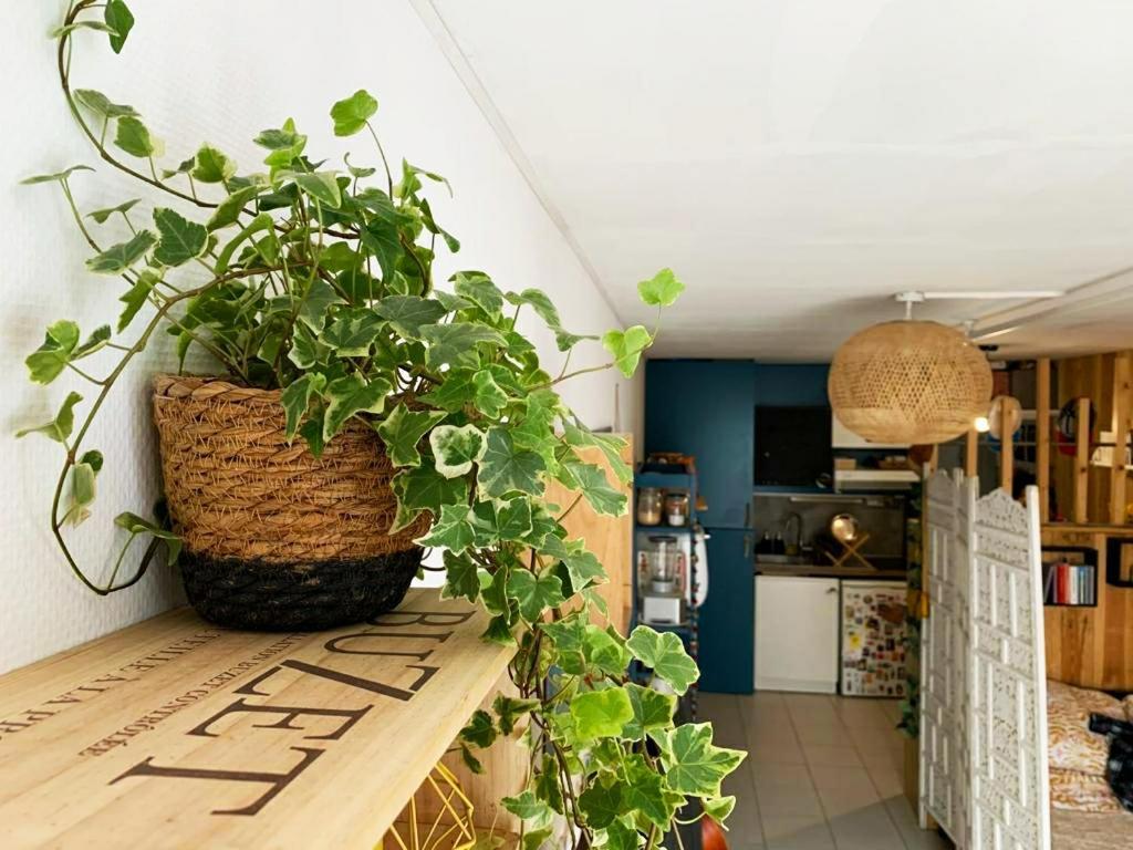 Studio Avec Terrasse Tout Pres Du Vieux Port Λα Ροσέλ Εξωτερικό φωτογραφία